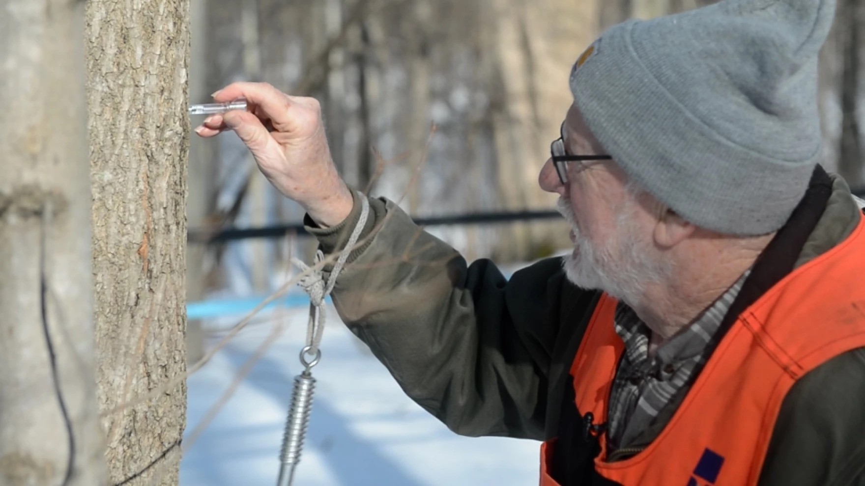 David Bissell works on tapping trees, which can begin as early as January. [Jean-Marie Papoi/ideastream]